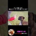 【犬が人間に懐く理由とは？】DNAに刻まれている!?#プチ知識  #ゆっくり解説  ＃しつけ #心理学 #犬のいる生活  #愛犬
