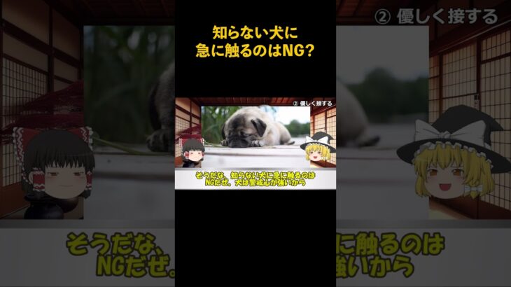 知らない犬に急に触るのはNG? #犬 #犬の飼い方 #犬との暮らし #犬のしつけ #犬の気持ち #犬との仲良し #犬好き #ペット #動物 #ゆっくり解説