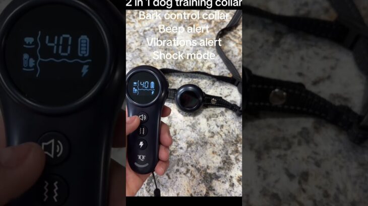 超小型犬OK！チワワの無駄吠え解決▶防水しつけ首輪がAmazonで5,290円 獣医師も認めた安全設計  #犬散歩 #dogs #犬がいる生活 #犬好き #犬のいる #犬舍 #dogtraining