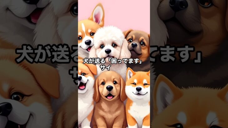 【悲報】実は飼い主へのSOSでした。犬が送る「困ってます」サイン４選 #犬のいる生活 #犬の気持ち #犬のしつけ