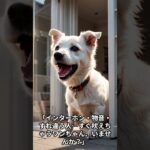 【保存必須】吠える犬がピタッと静かに…飼い主も驚いた“音”の正体とは？🐶Shorts