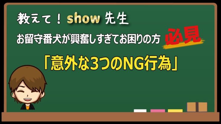 Vol.15 　お留守番犬が興奮しすぎてお困りの方必見‼『意外な３つのNG行為』