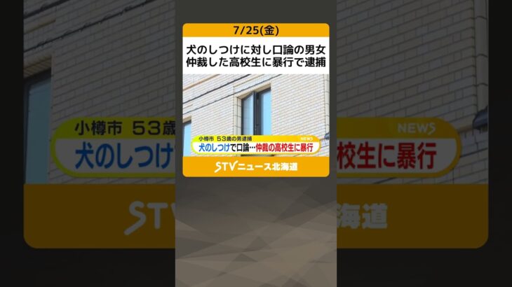 犬のしつけに対し口論の男女　仲裁した高校生に暴行で逮捕　北海道 #shorts