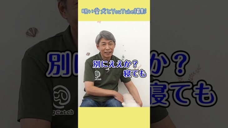 眠い犬と優しいおじさん　#shorts #dog