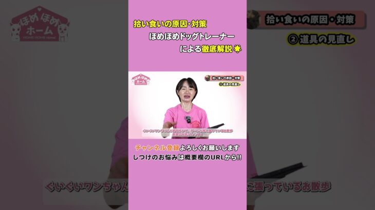 犬の拾い食いは超危険！やめさせるために日頃の練習で拾い食いを防ぎましょう #shrots