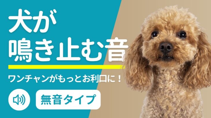 犬が鳴き止む音。しつけや無駄吠え対策に。人には聞こえない無音タイプ