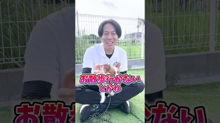 【犬しつけ】散歩前の大興奮を抑えるには？