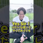 【犬しつけ】諦めないで！指示を聞かない愛犬には…