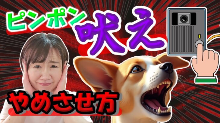 【犬　しつけ】犬がピンポンに吠える！理由と直し方をほめほめドッグトレーナーが解説！