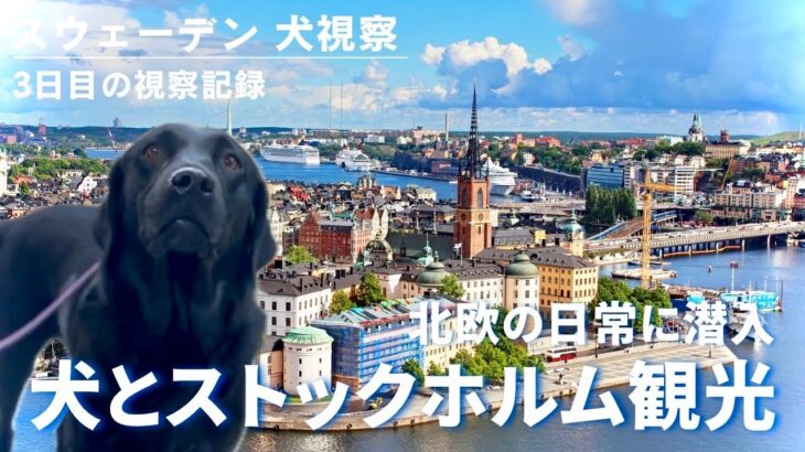 【スウェーデン】犬連れストックホルム市内観光 編