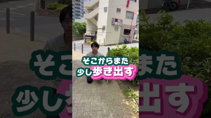 #犬のしつけ　#犬のいる暮らし