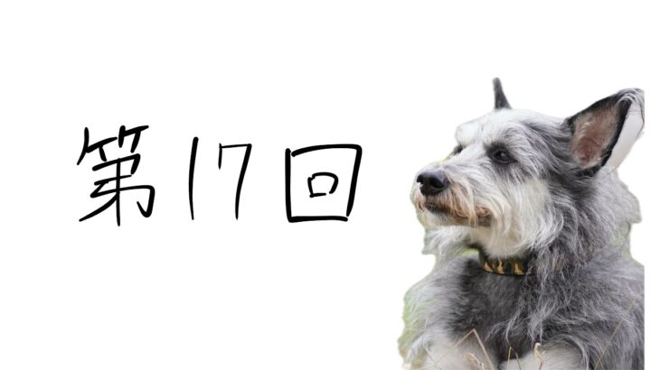 【犬のしつけ】犬に「させている」意識