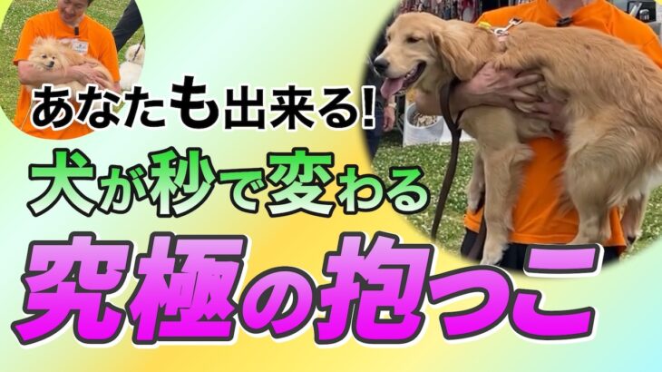 【犬のしつけ】まさに究極の抱っこ！全員が一瞬でおりこうさんに♪