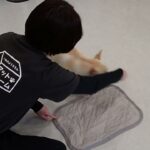 犬の幼稚園 なちゅちゃんとトレーニング