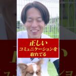 【犬しつけ】愛犬にとって居心地の良い飼い主とは？