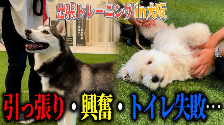 【大阪】出張トレーニングの様子！