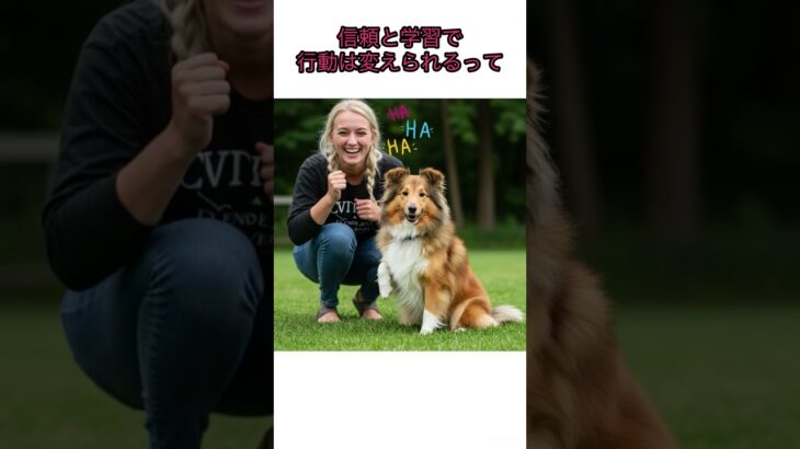 「叩くしつけ」まだ信じてる人へ #犬のしつけ