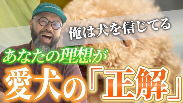 【犬のしつけ】犬と暮らす時にはこれをやってください