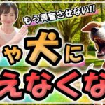 人や犬に吠えるのをやめさせる！興奮をコントロールするコツ