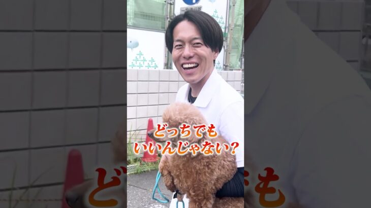【犬しつけ】甘噛みはやめさせるべき？