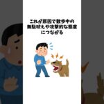 愛犬をしつけずに甘やかす人