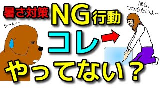 【犬 暑さ対策】注意！プロは暑さ対策＋○○対策もセットで行います！犬のしつけエマチャンネル【犬のしつけ＠横浜】