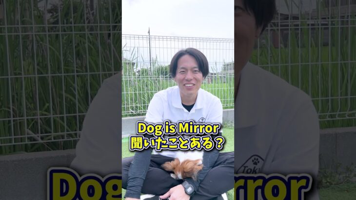 【犬しつけ】愛犬は飼い主に似る！？