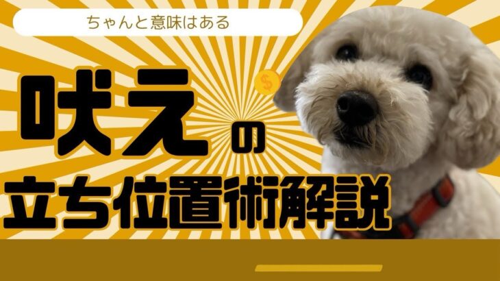【吠え】犬が吠えた時の心理とその対処法