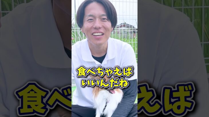 【犬しつけ】愛犬が可愛すぎる！けど…
