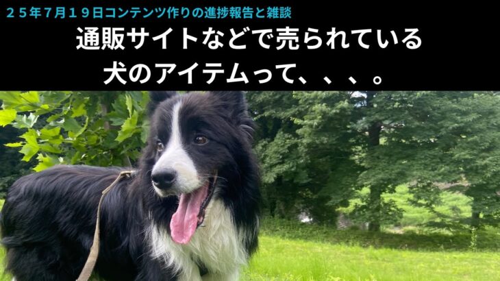【雑談】通販サイトなどで売られている犬のアイテムって、、、。