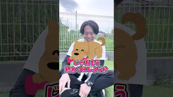 【犬しつけ】言うことを聞かなくなる！？おもちゃの使い方に注意