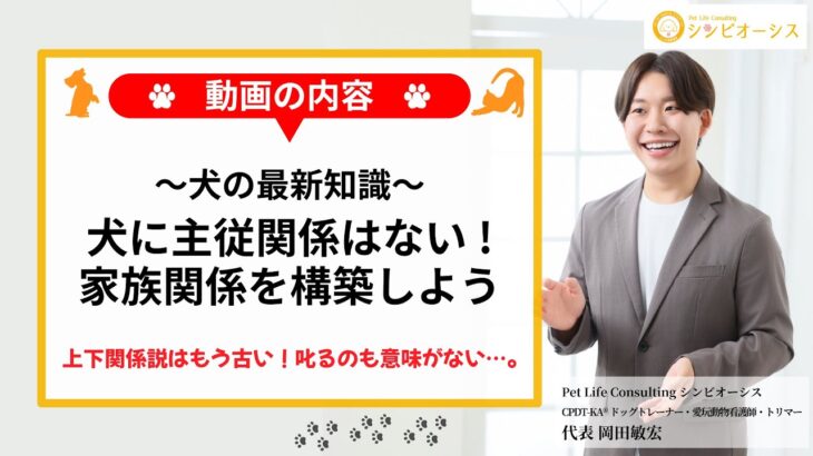 【プロが解説】犬に主従関係＆上下関係はない！家族関係を構築しよう！