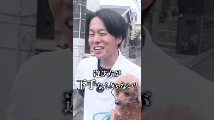 【犬しつけ】おもちゃではなく手に噛む時どうする？