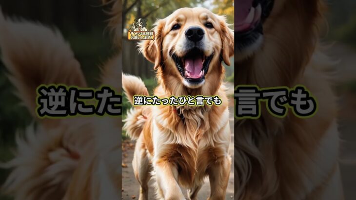犬は嘘の褒め言葉を見抜く 感情のこもった声がカギ #犬の感情 #犬のしつけ #犬との信頼関係