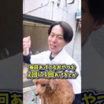 【犬しつけ】おやつも大事だけど…