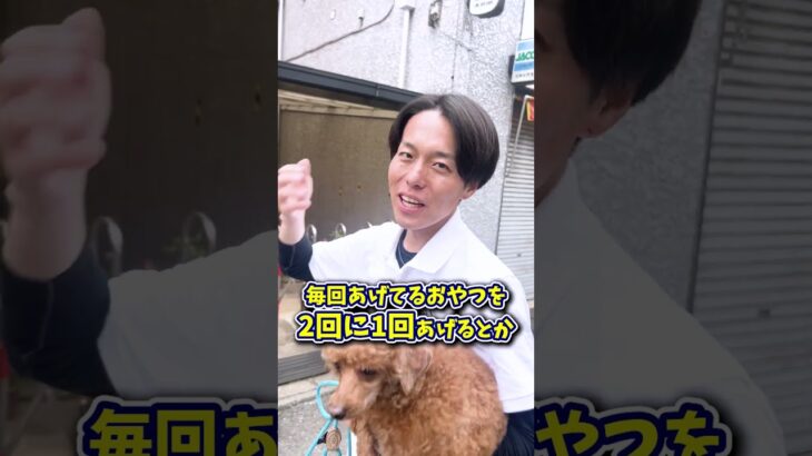 【犬しつけ】おやつも大事だけど…