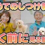 【犬のしつけ】初めてのしつけ教室 行く前に見る動画
