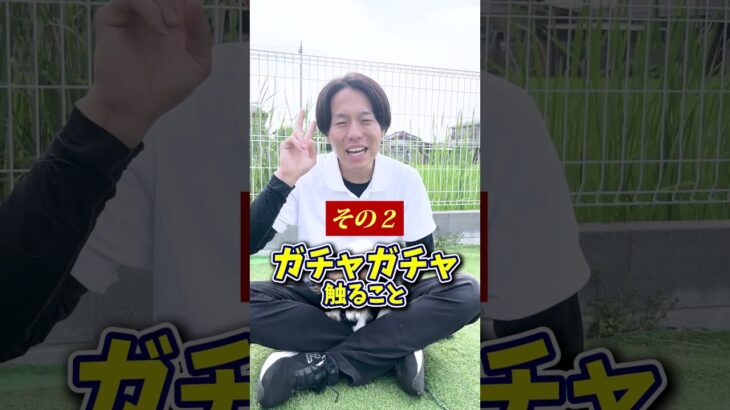 【犬しつけ】実は間違っている愛情表現とは？