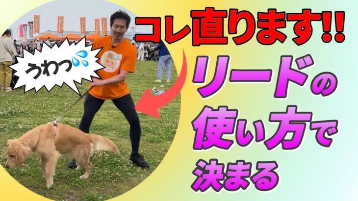 犬に気持ちが伝わるリードの使い方を教えます！