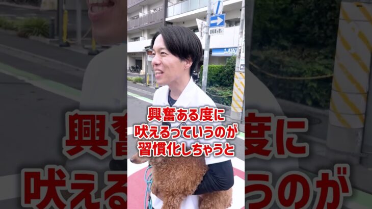 【犬しつけ】そもそも吠える理由って？