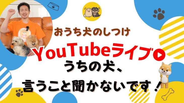 うちの犬、いうこと聞いてくれないです！