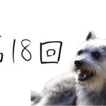 【犬のしつけ】褒める練習