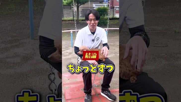 【犬しつけ】初めての散歩は…