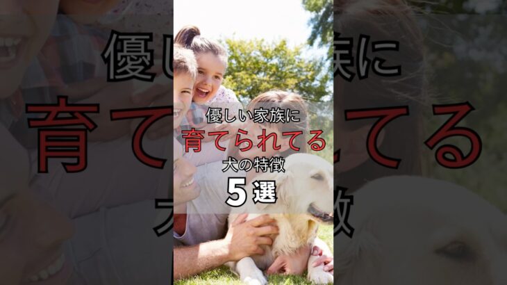 優しい家族に育てられている犬の特徴