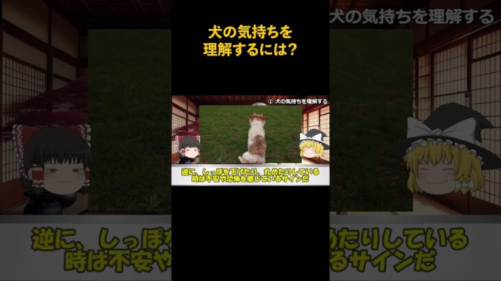 犬の気持ちを理解するには？　#犬 #犬の飼い方 #犬との暮らし #犬のしつけ #犬の気持ち #犬との仲良し #犬好き #ペット #動物 #ゆっくり解説
