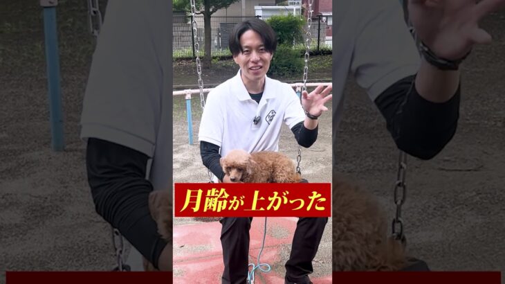 【犬しつけ】ある日突然愛犬が吠えた！原因は？