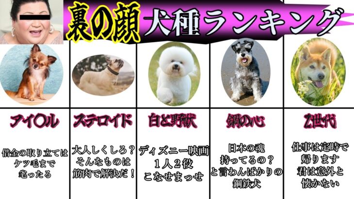 【ランキング】裏の性格を持つ犬種５選