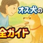 オス犬のしつけのコツ！甘えん坊男子の育て方をわかりやすく解説🐕