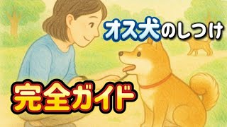 オス犬のしつけのコツ！甘えん坊男子の育て方をわかりやすく解説🐕