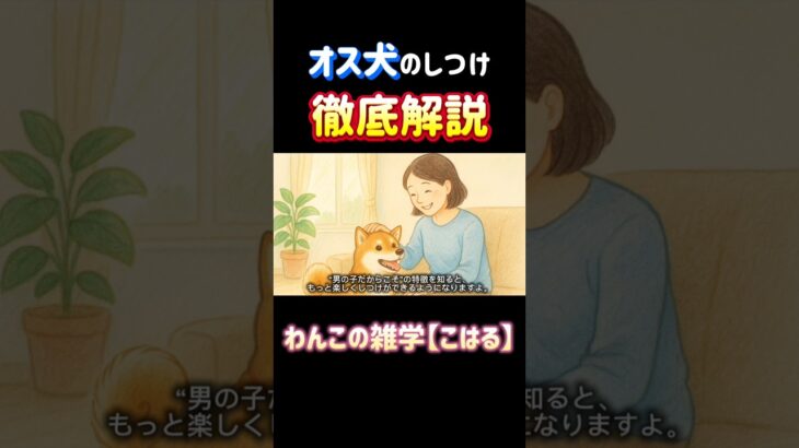 甘えん坊でやんちゃなオス犬。しつけに悩む前に知っておきたいコツを解説！ #オス犬 #犬のしつけ #犬の雑学 #犬との暮らし #犬好きさんと繋がりたい #犬の悩み #マーキング対策 #吠え癖